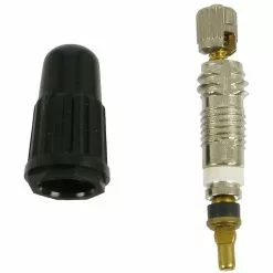 Continental Obus De Valve SV